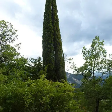 Chateau Notre Dame De 度假居